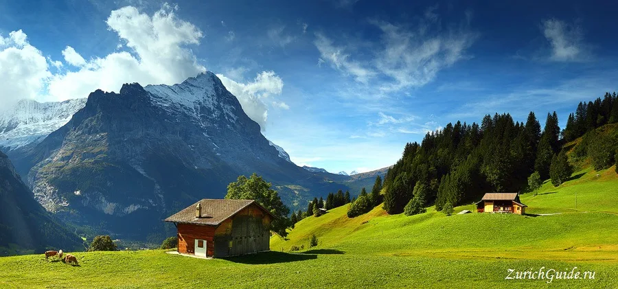 Chalets and pasture below the Wetterhorn at Grindelwald